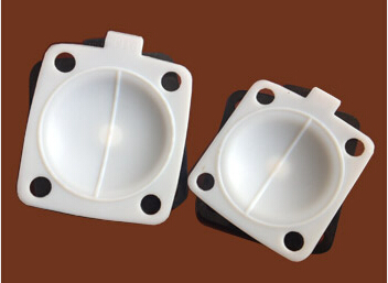 糖心视频观看阀糖心视频