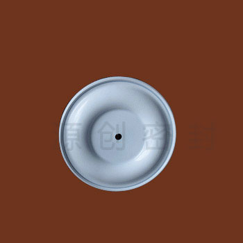 DN15-65 四氟糖心视频观看片